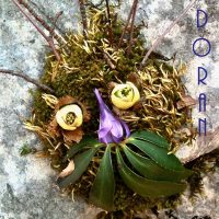 Concert Doran le 27 février à l'espace culturel La Chaumière